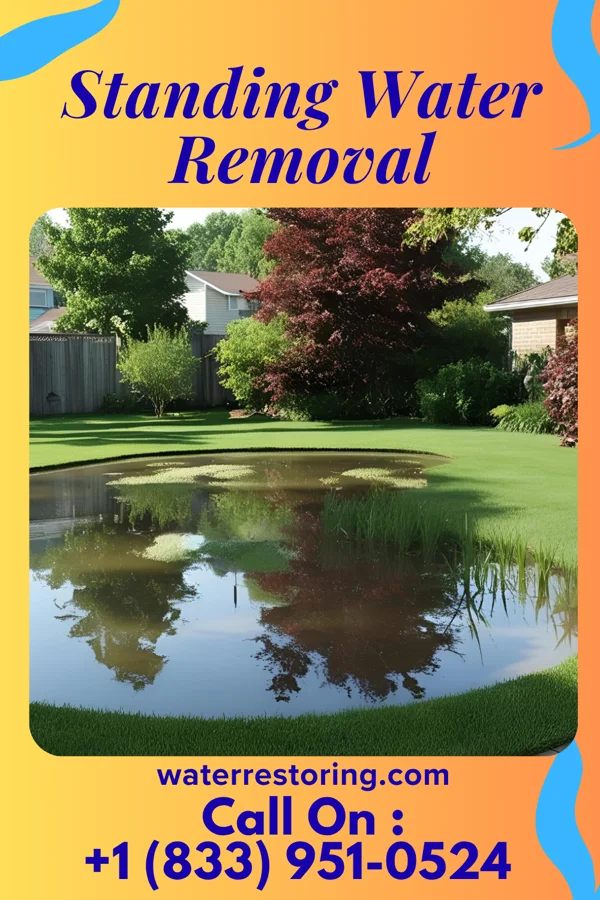 Standing Water Removal in Sudan, TX